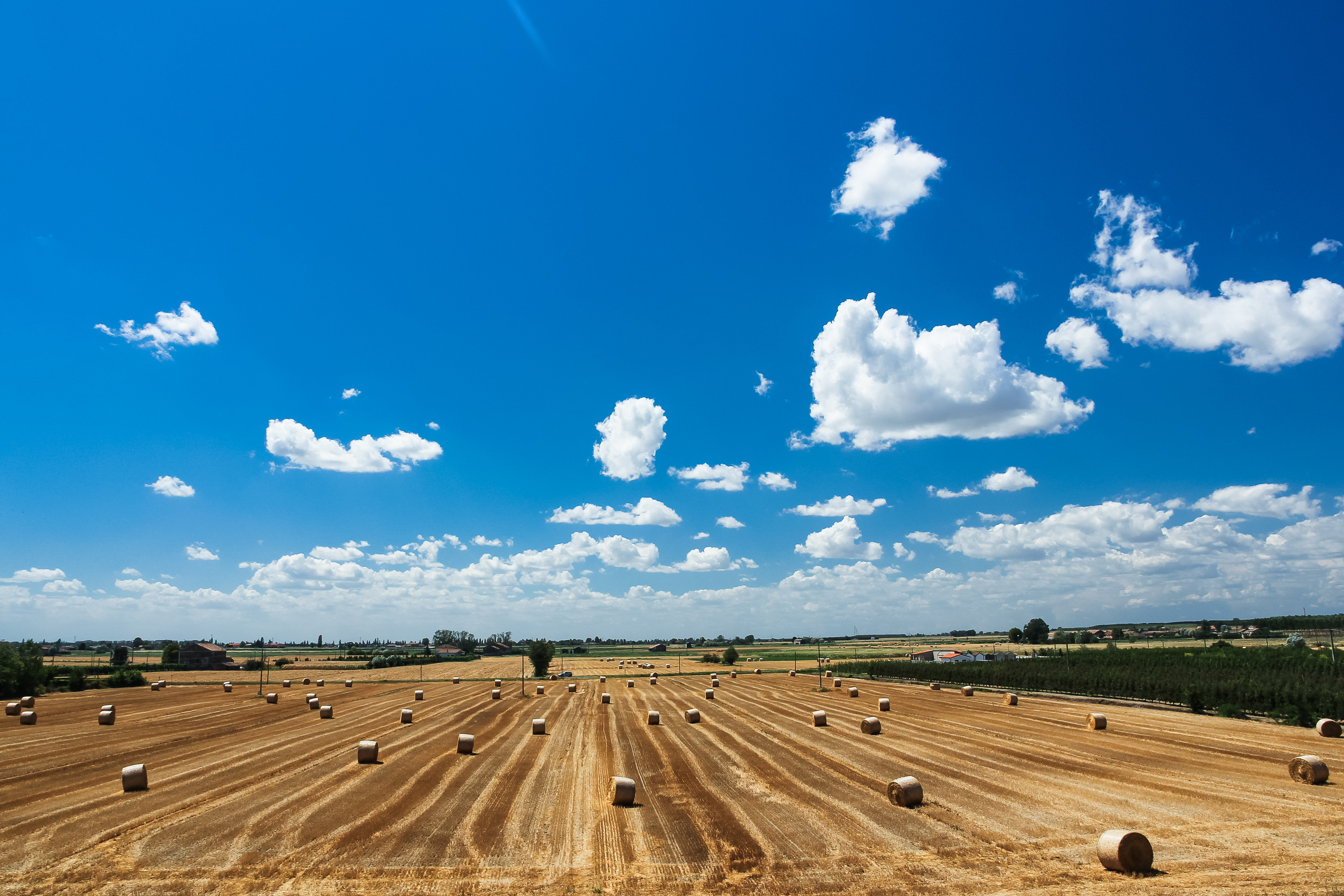 Abgeerntetes Feld voller Strohballen unter riesigem Himmel